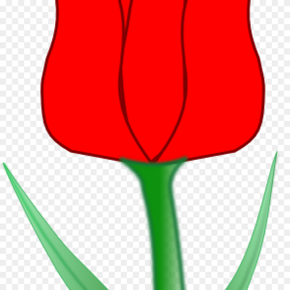 Tulip Clipart Clip Art, Flower, Plant, Petal, Person Png Image