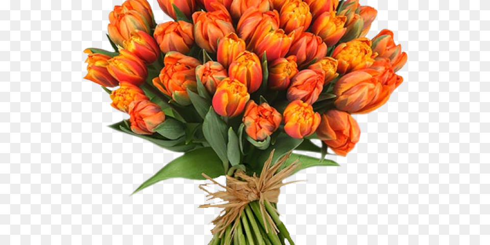 Tulip Clipart Flower Bokeh Happy Teachers Day 2018, Flower Arrangement, Flower Bouquet, Plant, Art Png