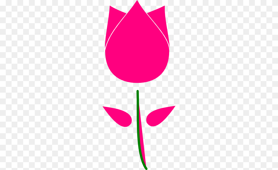 Tulip Clipart For Download Tulip Clipart, Flower, Petal, Plant, Clothing Png