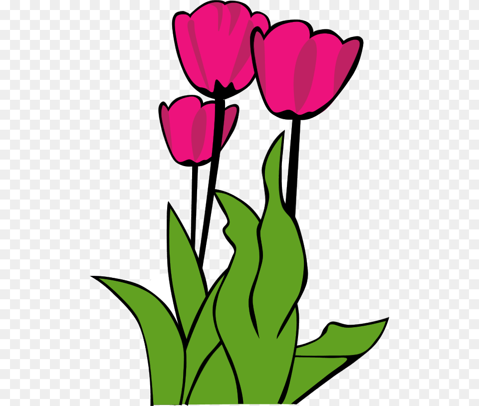 Tulip Clipart Kid Tulip Clip Art, Flower, Petal, Plant, Person Free Png Download