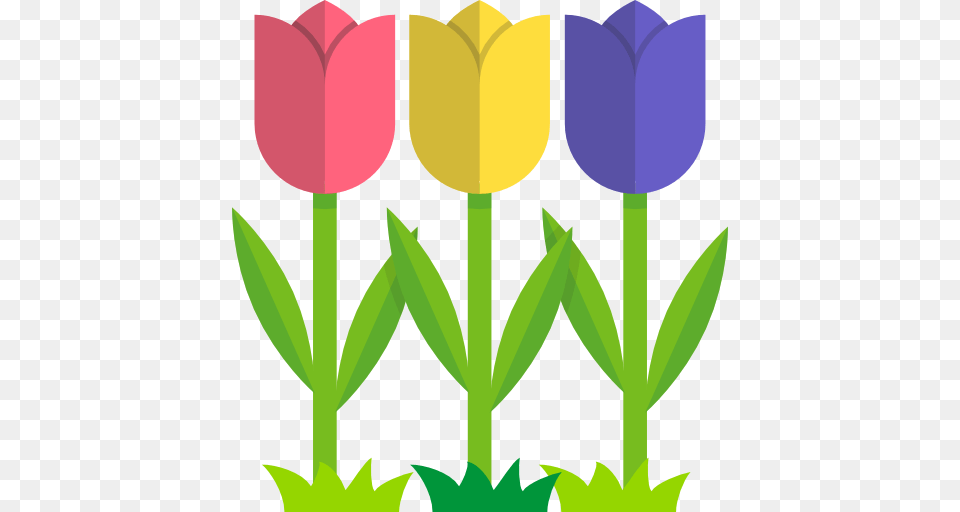 Tulip Clipart Nature, Flower, Plant, Person Free Png Download