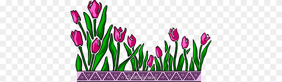 Tulip Design Royalty Vector Clip Art Illustration, Purple, Plant, Flower, Graphics Free Png