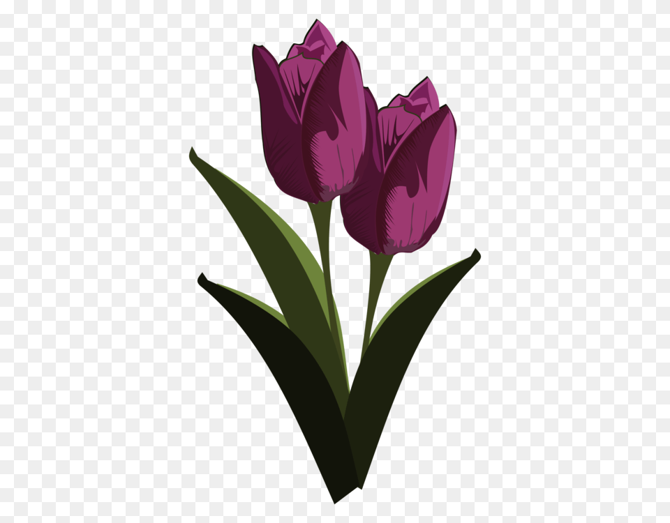 Tulip Mosseruds Gf Pixel Art, Flower, Plant, Rose Free Png Download