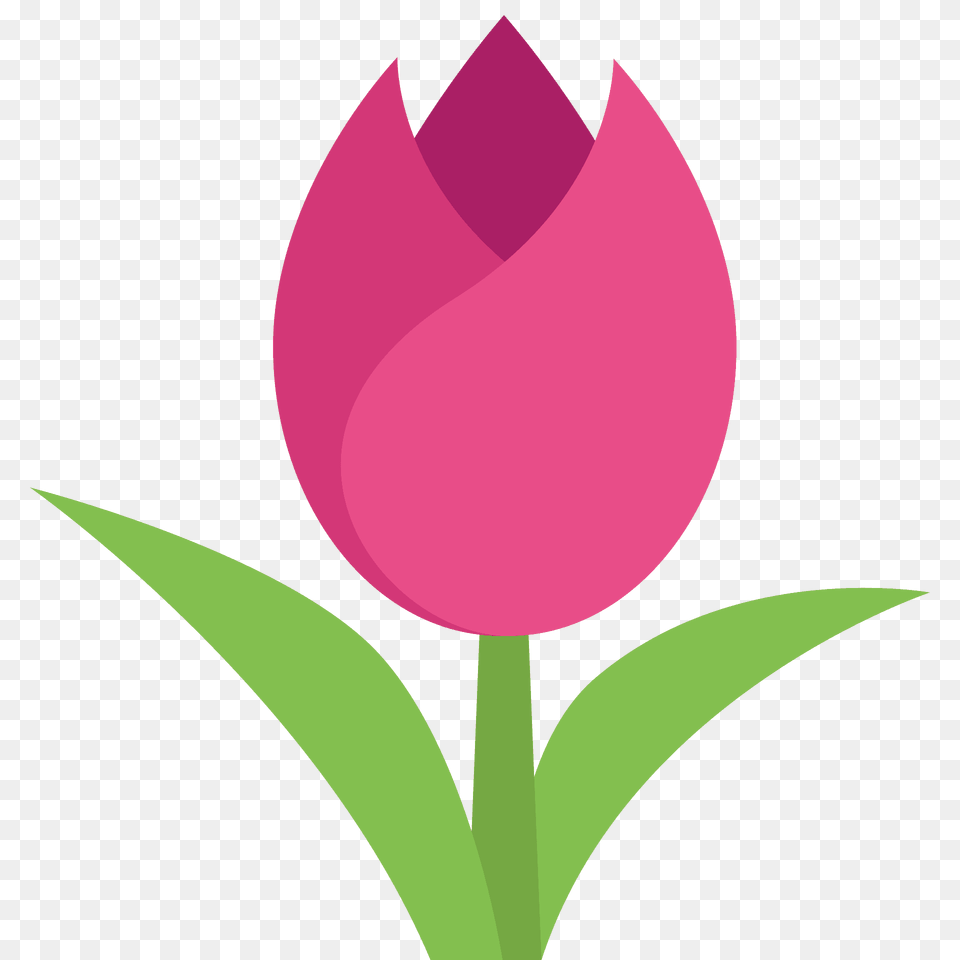 Tulip Emoji Clipart, Flower, Plant, Petal, Rose Png Image