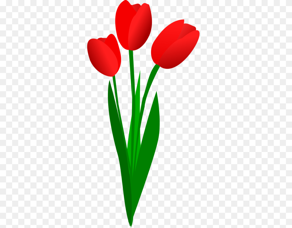 Tulip Flower Bouquet Download Art, Plant, Petal Free Png