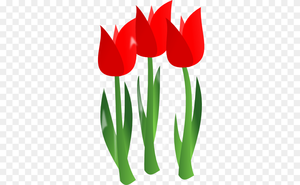 Tulip Flower Clip Art, Plant Png Image