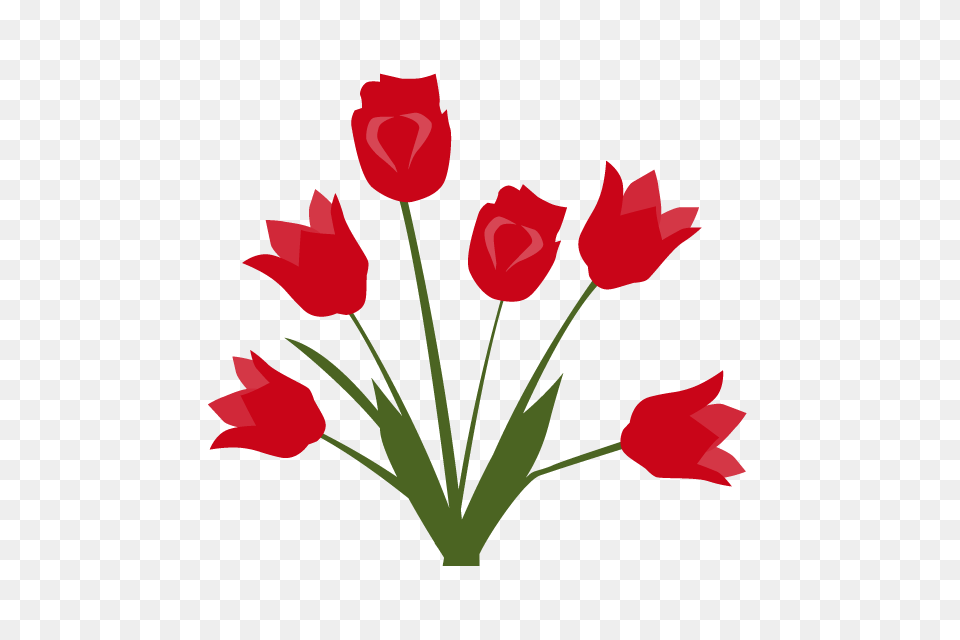 Tulip Flower Clip Art Material Illustration Image, Petal, Plant, Rose Free Png Download