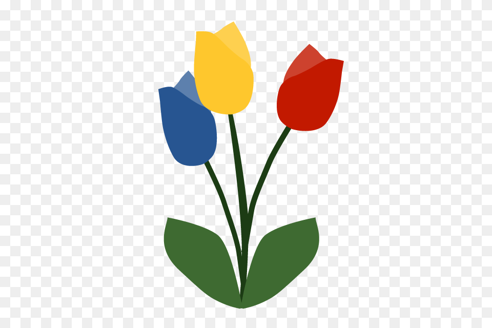 Tulip Flower Clip Art Material Illustration Image, Plant, Rose, Petal Free Transparent Png