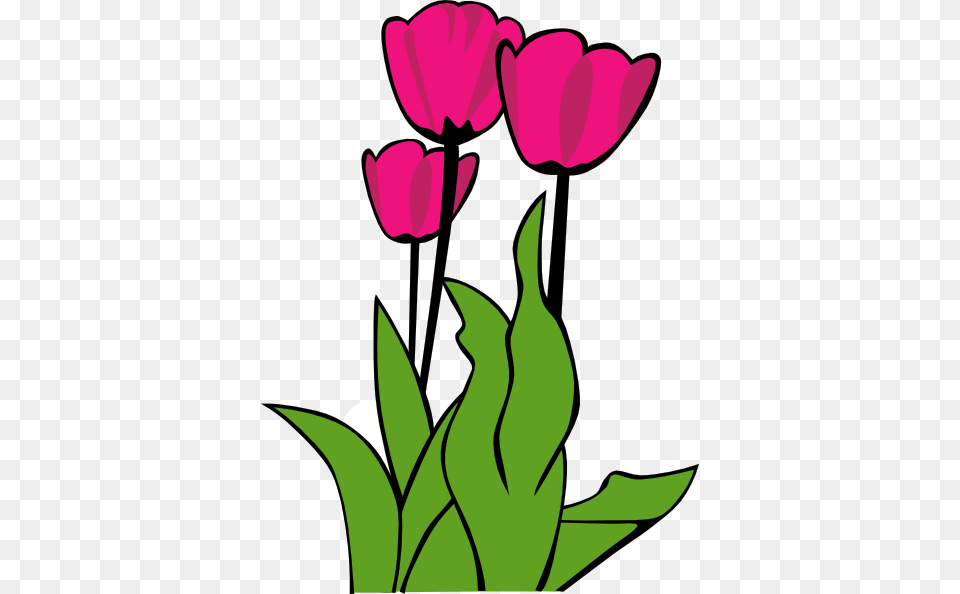 Tulip Flower Clipart, Plant, Dynamite, Weapon Free Transparent Png