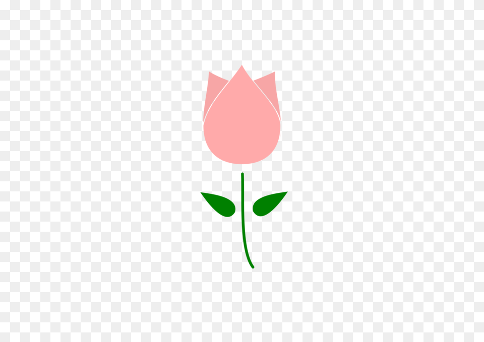 Tulip Flower Download Computer Icons Drawing, Plant, Rose, Petal Free Transparent Png