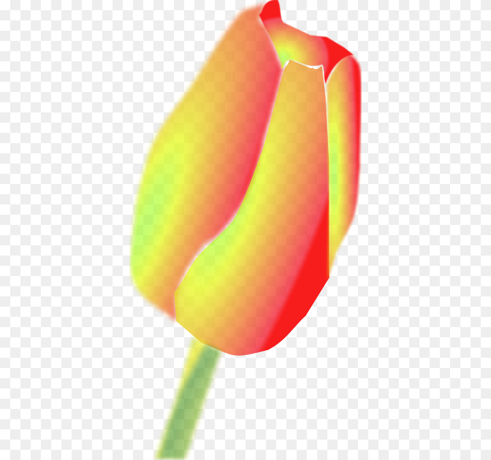 Tulip Flower Svg Clip Arts Tulip Clip Art, Plant, Person Png Image