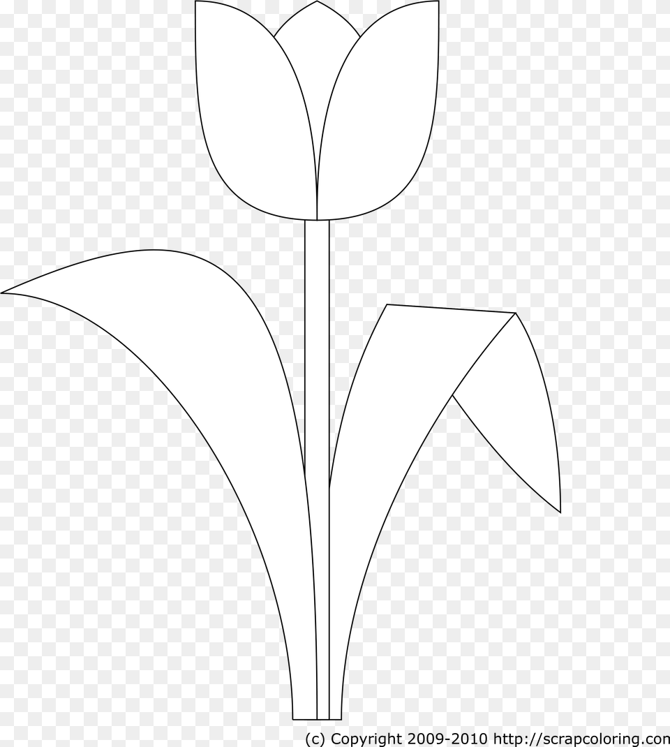 Tulip Flowerfreepngtransparentimagesfreedownload Line Art, Flower, Plant, Cross, Symbol Free Transparent Png