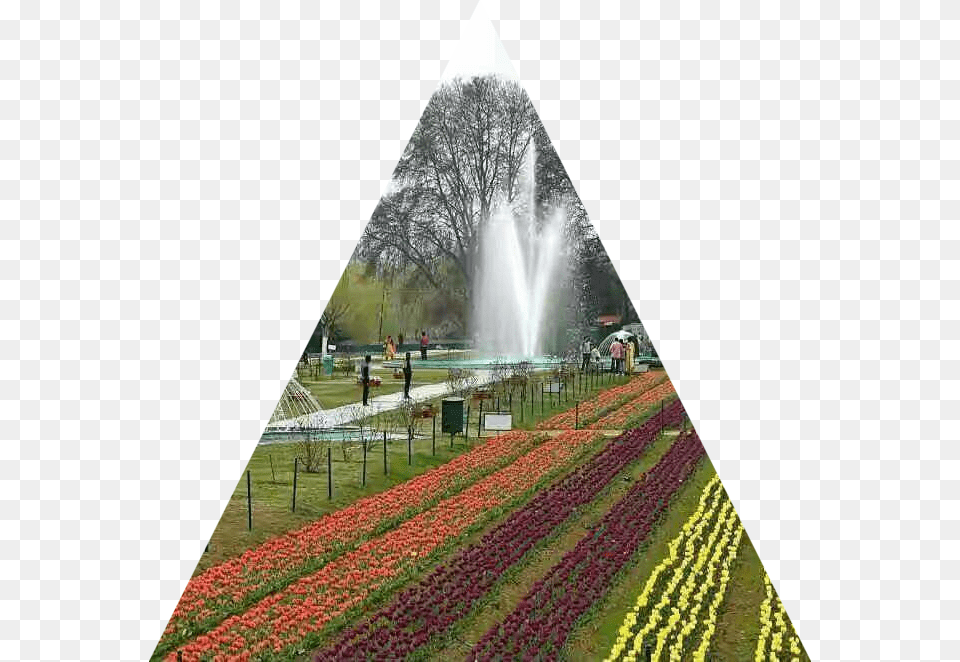 Tulip Garden Kashmiri, Architecture, Plant, Park, Outdoors Free Transparent Png