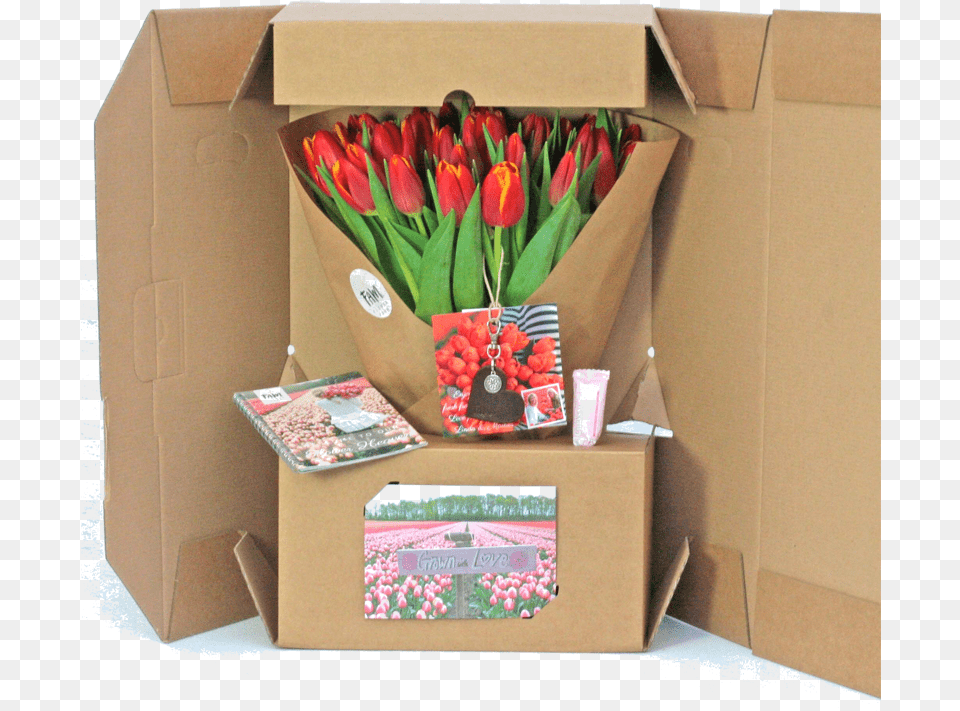 Tulip Gift Box, Cardboard, Carton, Flower, Flower Arrangement Free Png Download