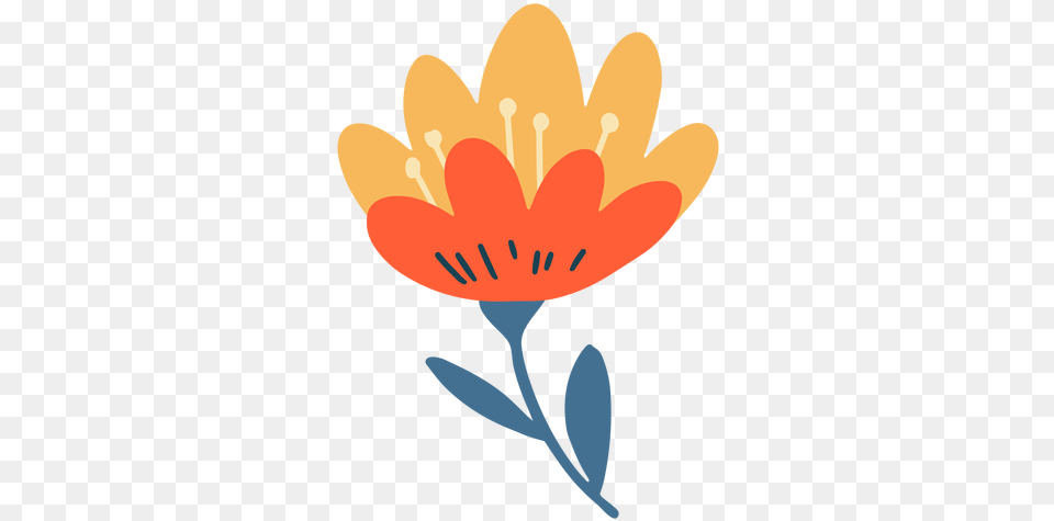 Tulip Graphics To Download Poppy, Anther, Daisy, Flower, Petal Png Image