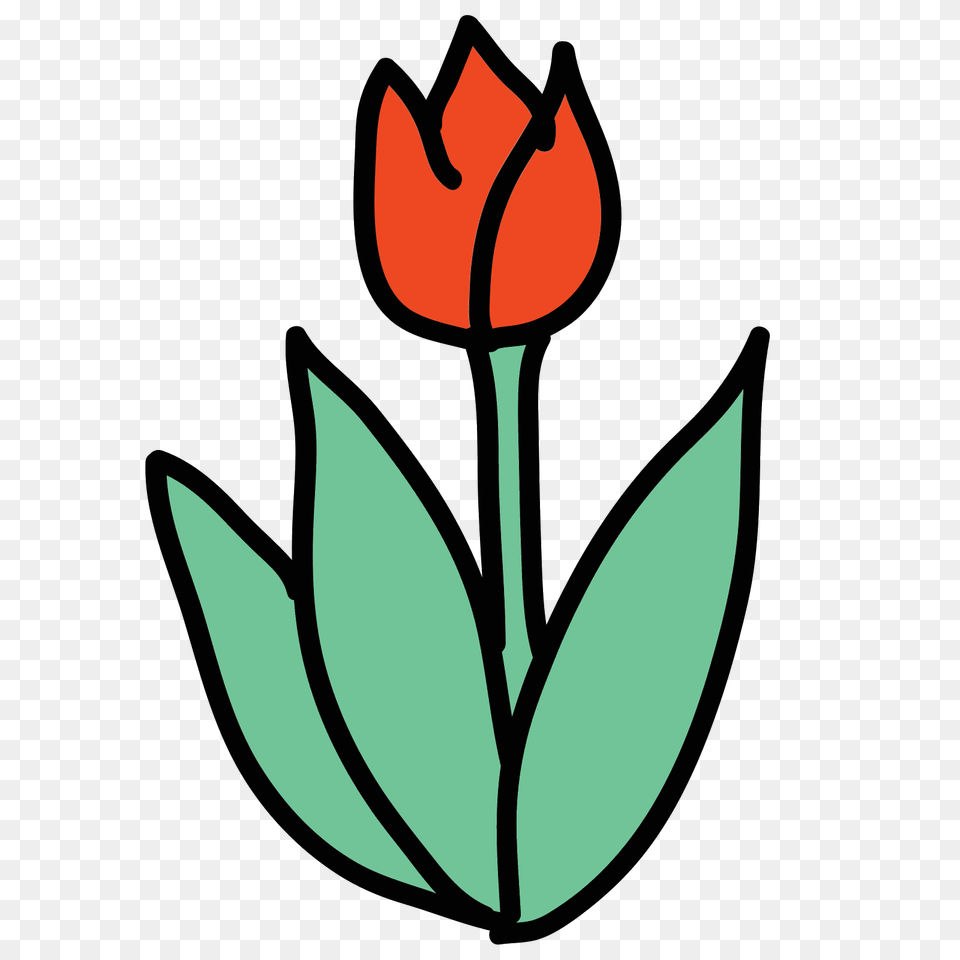 Tulip Icon, Flower, Leaf, Plant, Rose Png