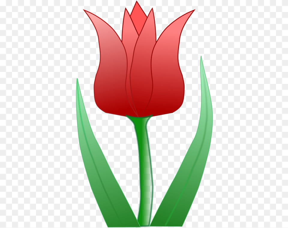 Tulip Illustration Desenho Flor Tulipa Amarela, Flower, Plant, Petal Free Transparent Png