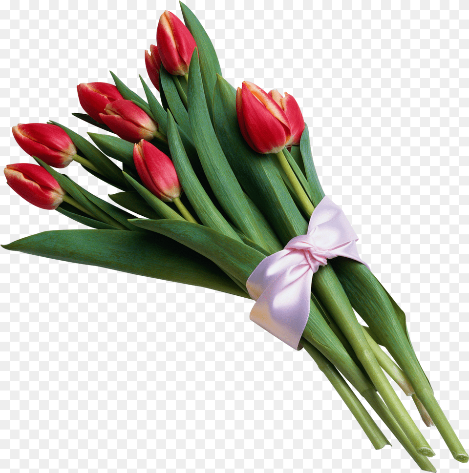 Tulip Image Bouquet Of Flowers Transparent Background, Flower, Flower Arrangement, Flower Bouquet, Plant Png