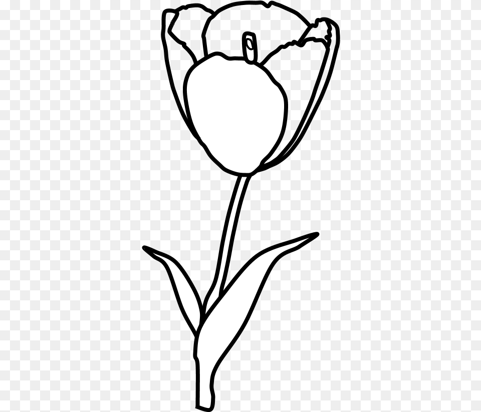 Tulip Petals Stamen Black And White Tulip Flower Clipart Black And White Cutting, Plant, Stencil, Adult, Female Free Png