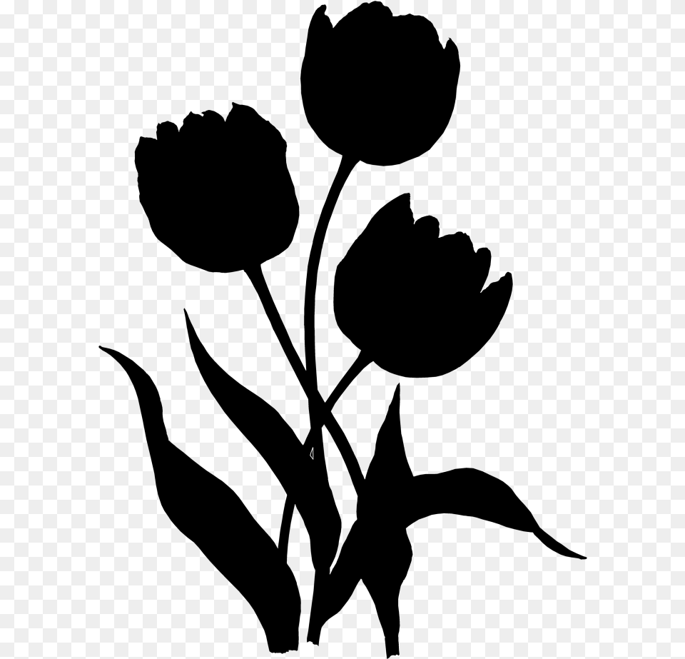 Tulip Rose Family Clip Art Plant Stem Leaf Tulp Silhouette, Gray Free Png Download