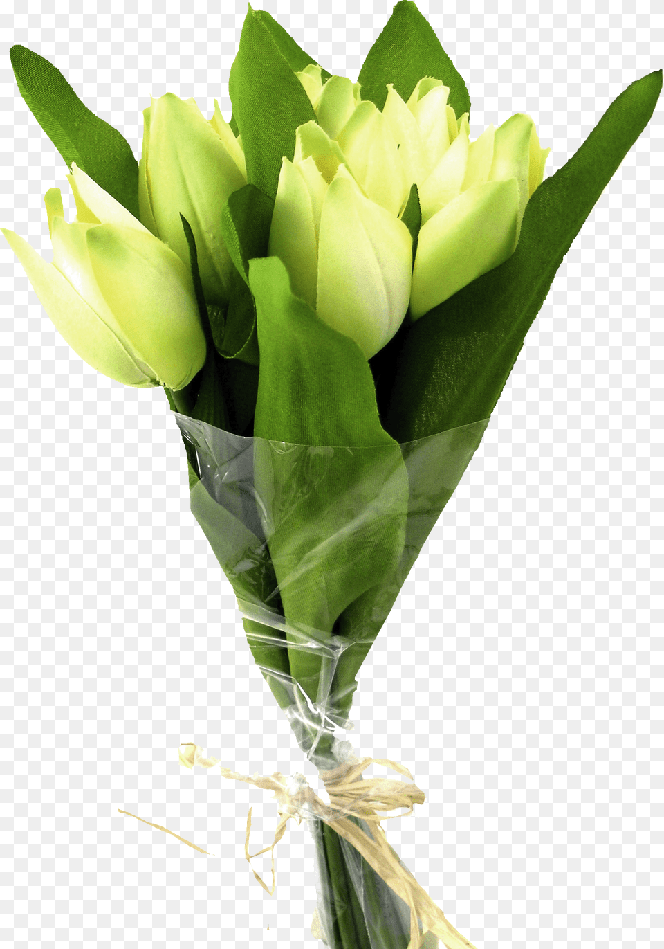 Tulip Tattoo Designs, Flower, Flower Arrangement, Flower Bouquet, Plant Png Image