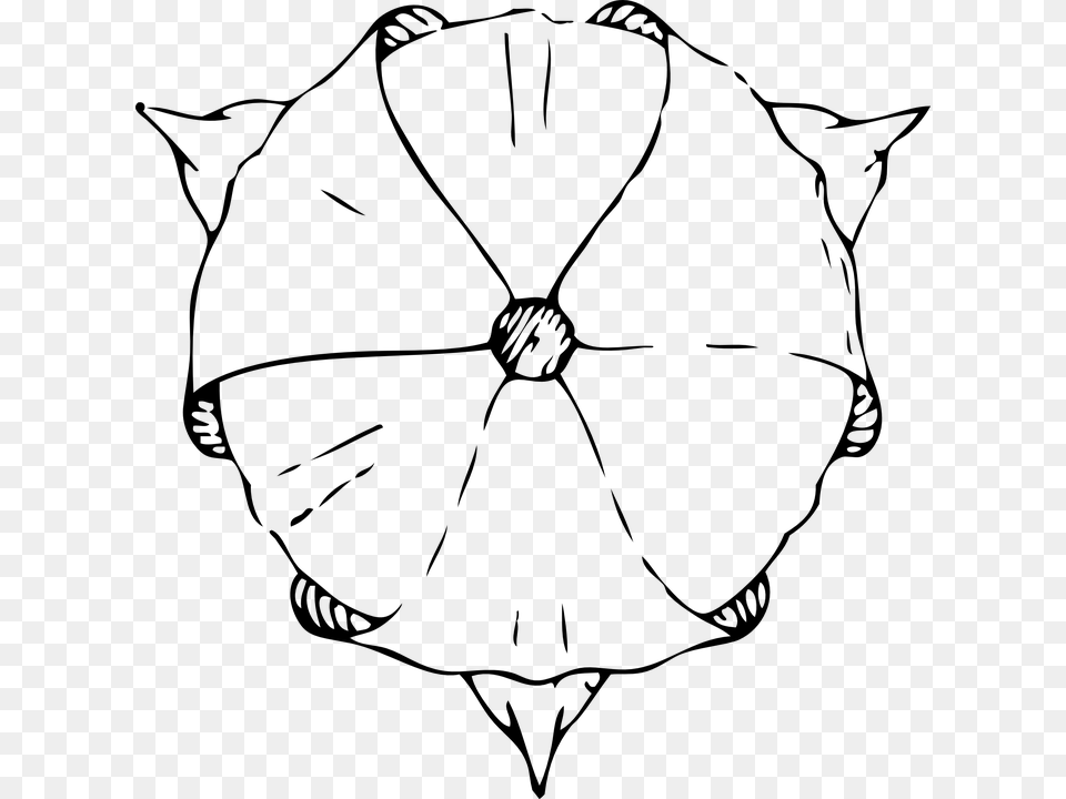 Tulip Top View Flower Art Deco Art Nouveau Tulip From The Top Drawing, Gray Free Transparent Png