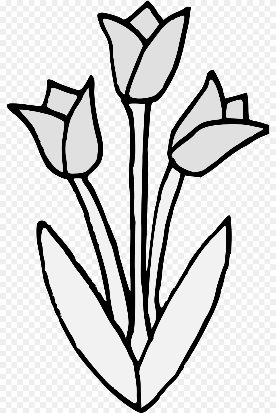 Tulip Traceable Heraldic Art Floral, Stencil, Flower, Plant, Person Png