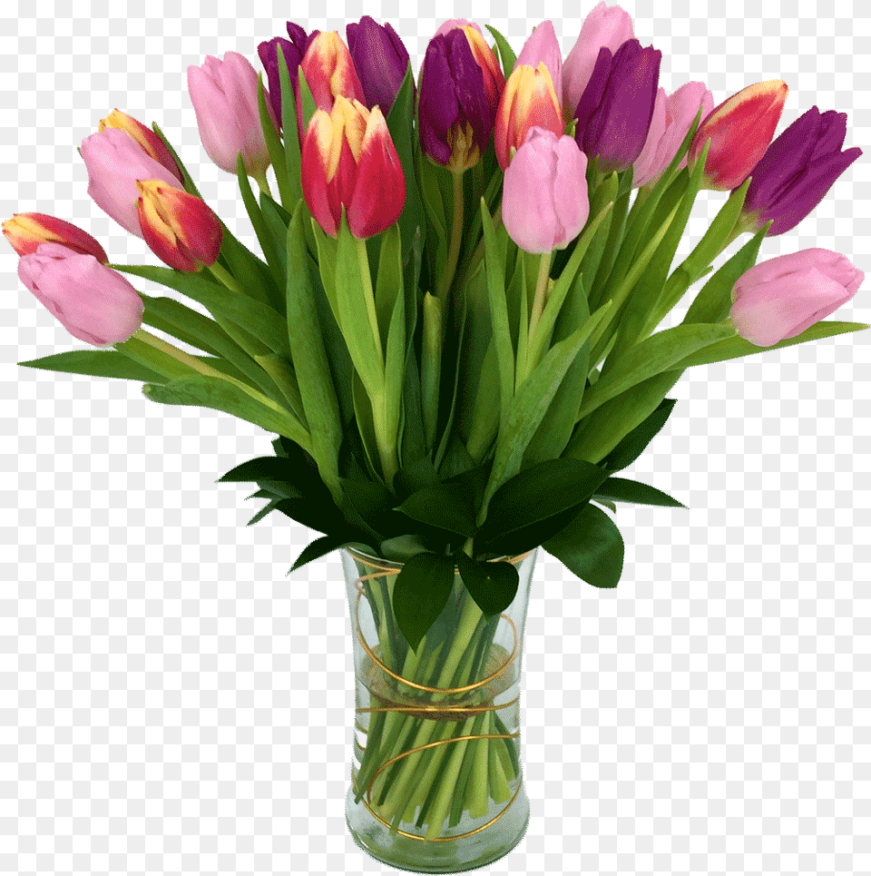 Tulip Treasure Flower, Flower Arrangement, Flower Bouquet, Plant Free Transparent Png