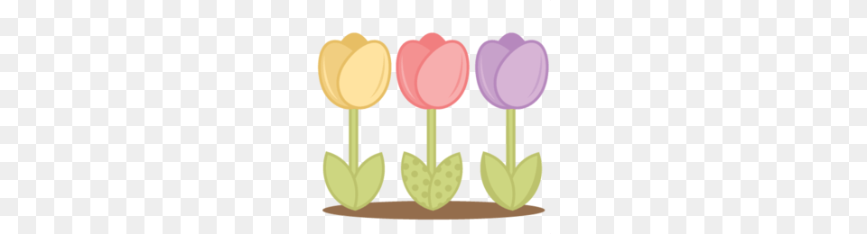 Tulip Tree Clipart, Flower, Plant, Food, Sweets Png Image