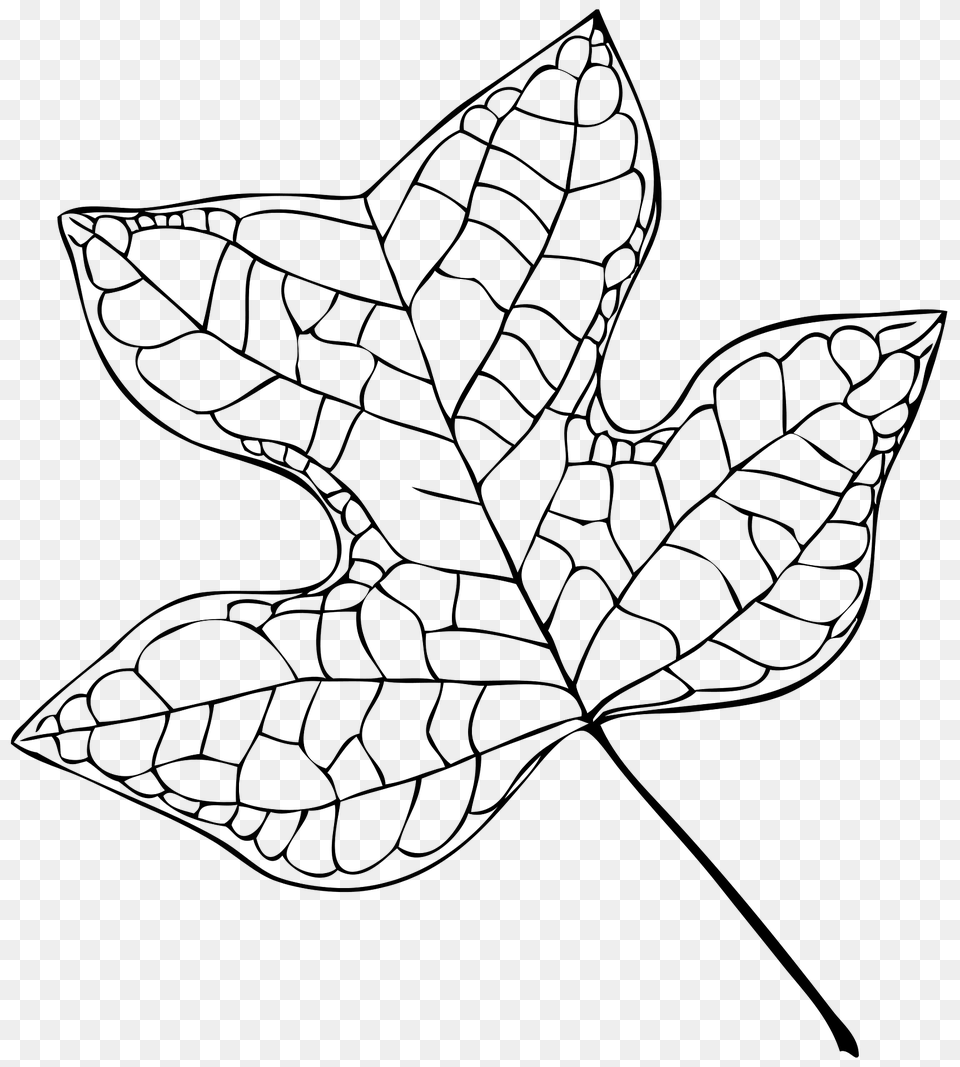 Tulip Tree Leaf Vector Clipart, Plant, Maple Leaf, Animal, Reptile Free Png Download