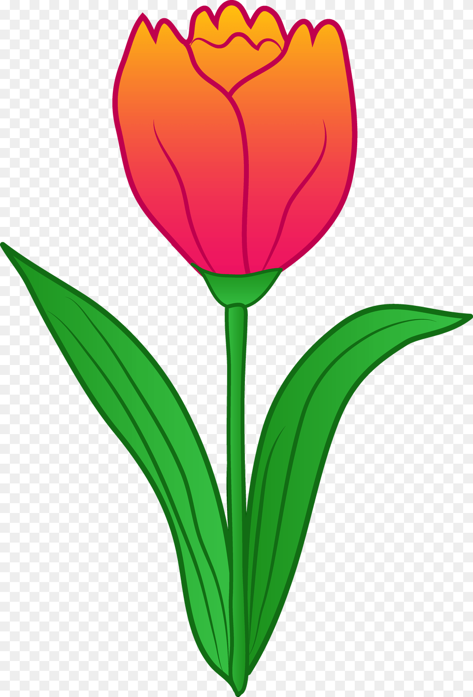 Tulip Tulip Flower Clipart, Plant, Petal Free Transparent Png