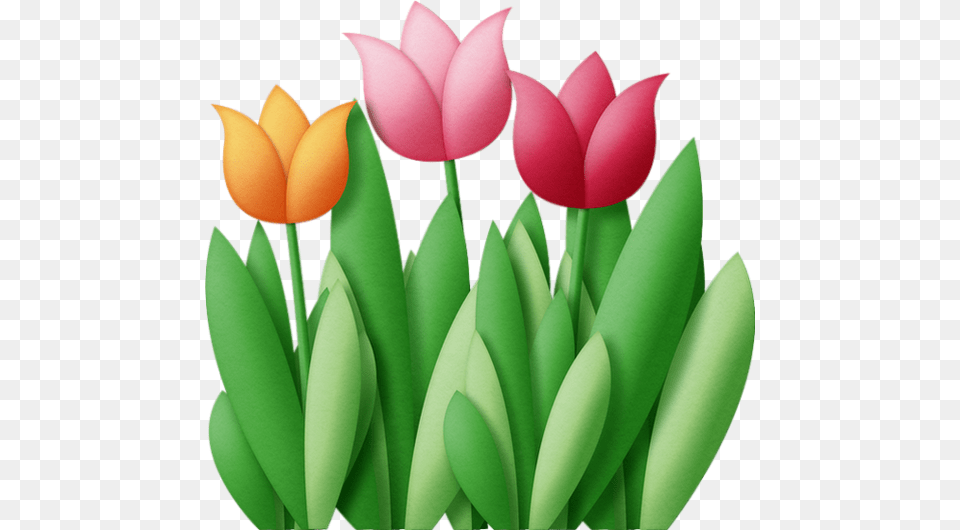 Tulipes Fleurs Clip Art Easter Flowers, Flower, Petal, Plant, Tulip Png Image