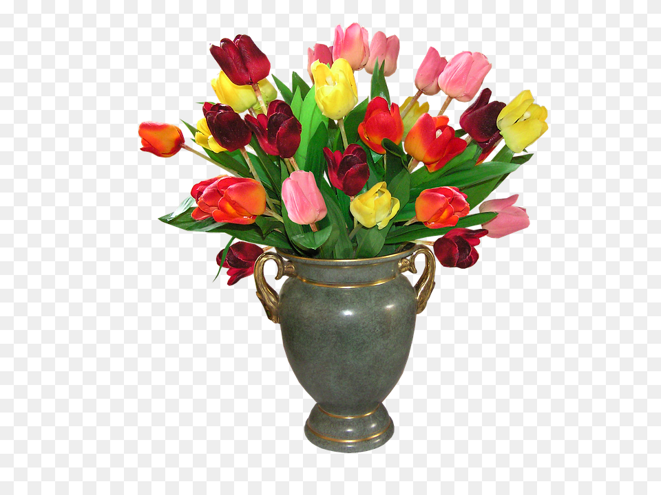Tulips Flower, Flower Arrangement, Flower Bouquet, Jar Free Png