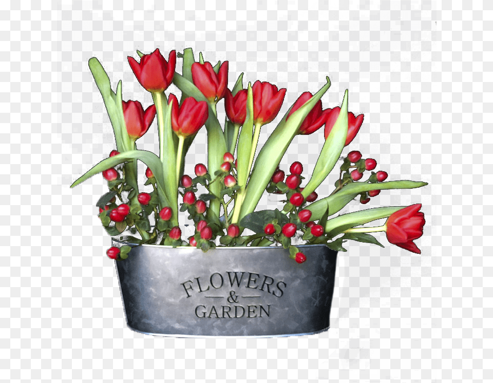 Tulips, Flower, Flower Arrangement, Flower Bouquet, Plant Free Png Download