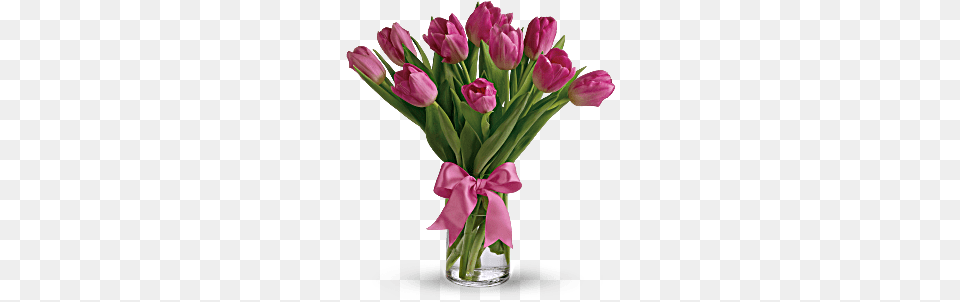 Tulips, Flower, Flower Arrangement, Flower Bouquet, Jar Png