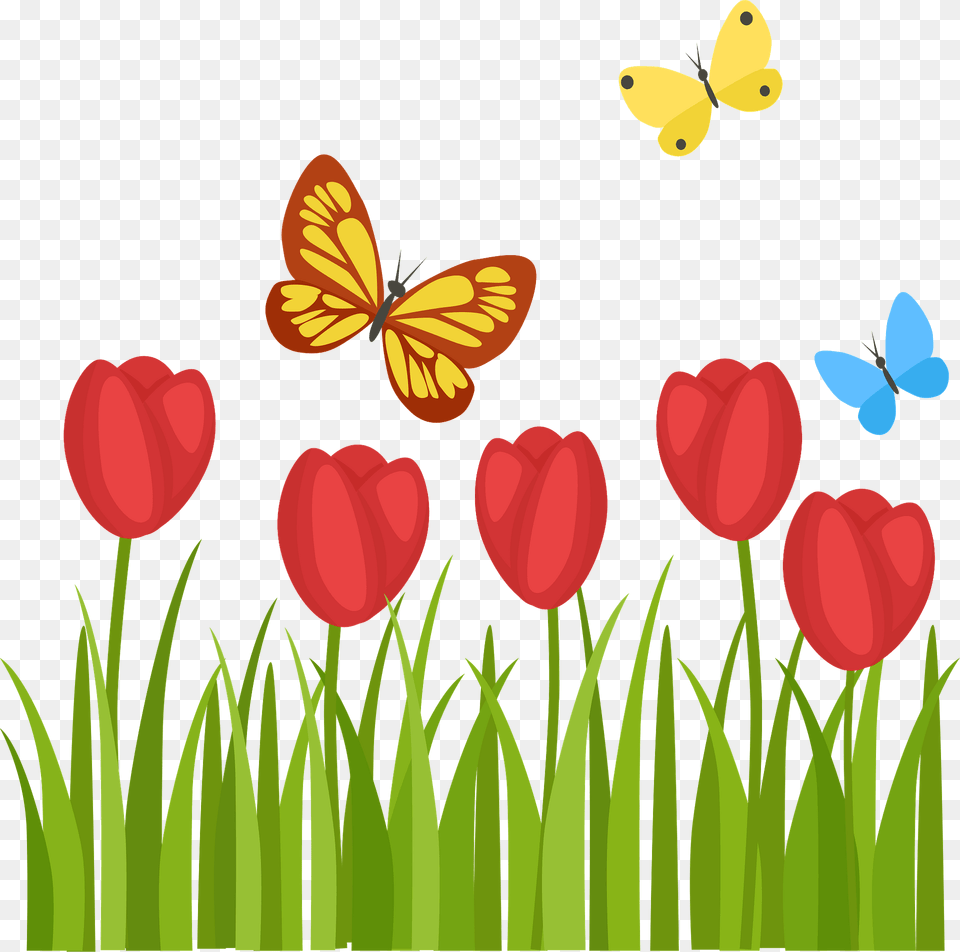 Tulips And Butterflies Clipart, Flower, Petal, Plant, Tulip Png