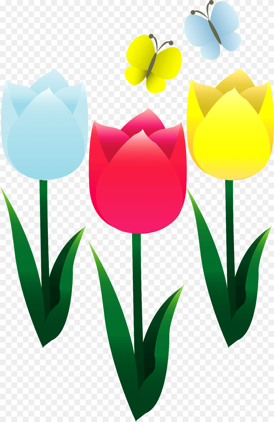 Tulips And Butterflies Clipart, Flower, Plant, Tulip Png Image