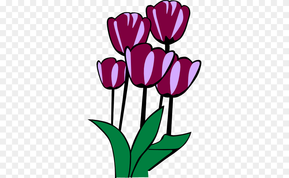 Tulips Clip Arts Download, Flower, Plant, Tulip, Dynamite Free Png