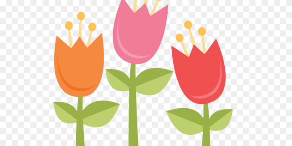 Tulips Clipart, Flower, Petal, Plant, Tulip Png Image