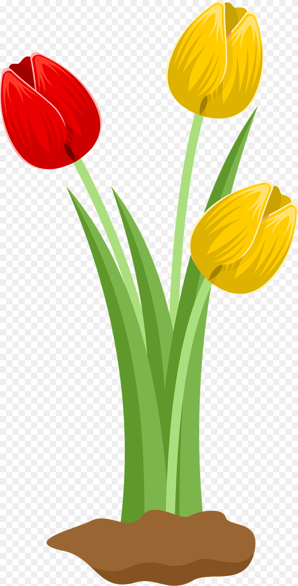 Tulips Clipart, Flower, Plant, Tulip Free Png Download