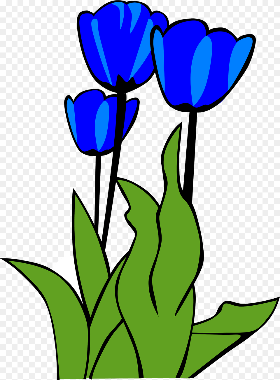 Tulips Clipart, Flower, Plant, Tulip, Art Png Image