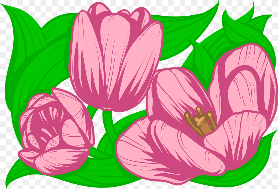Tulips Clipart, Flower, Petal, Plant, Art Png Image