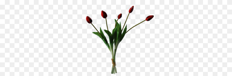 Tulips In A Bundle Of 5 Artificial Flower, Flower Arrangement, Flower Bouquet, Plant, Petal Png