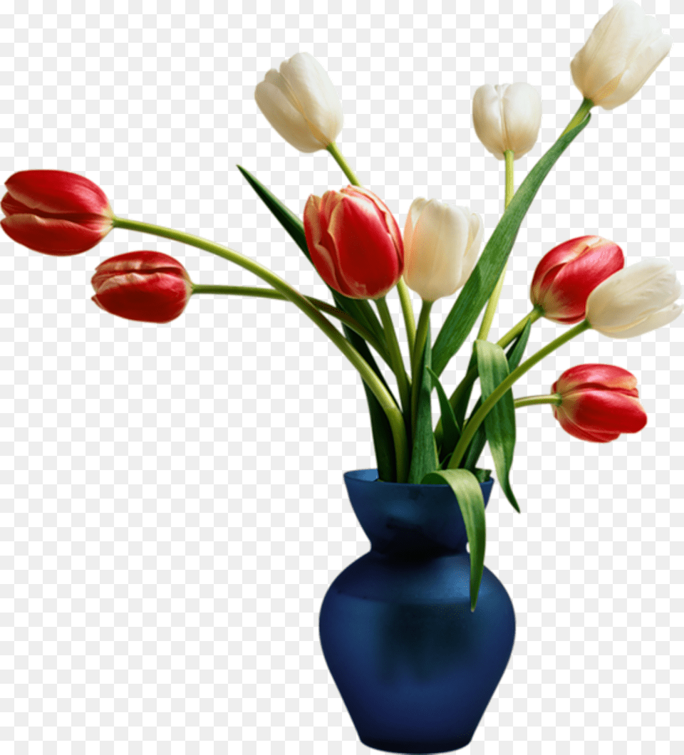 Tulips Tulip Vase Bouquet Flower Flowers Floral Flower Vase, Flower Arrangement, Flower Bouquet, Jar, Plant Free Transparent Png