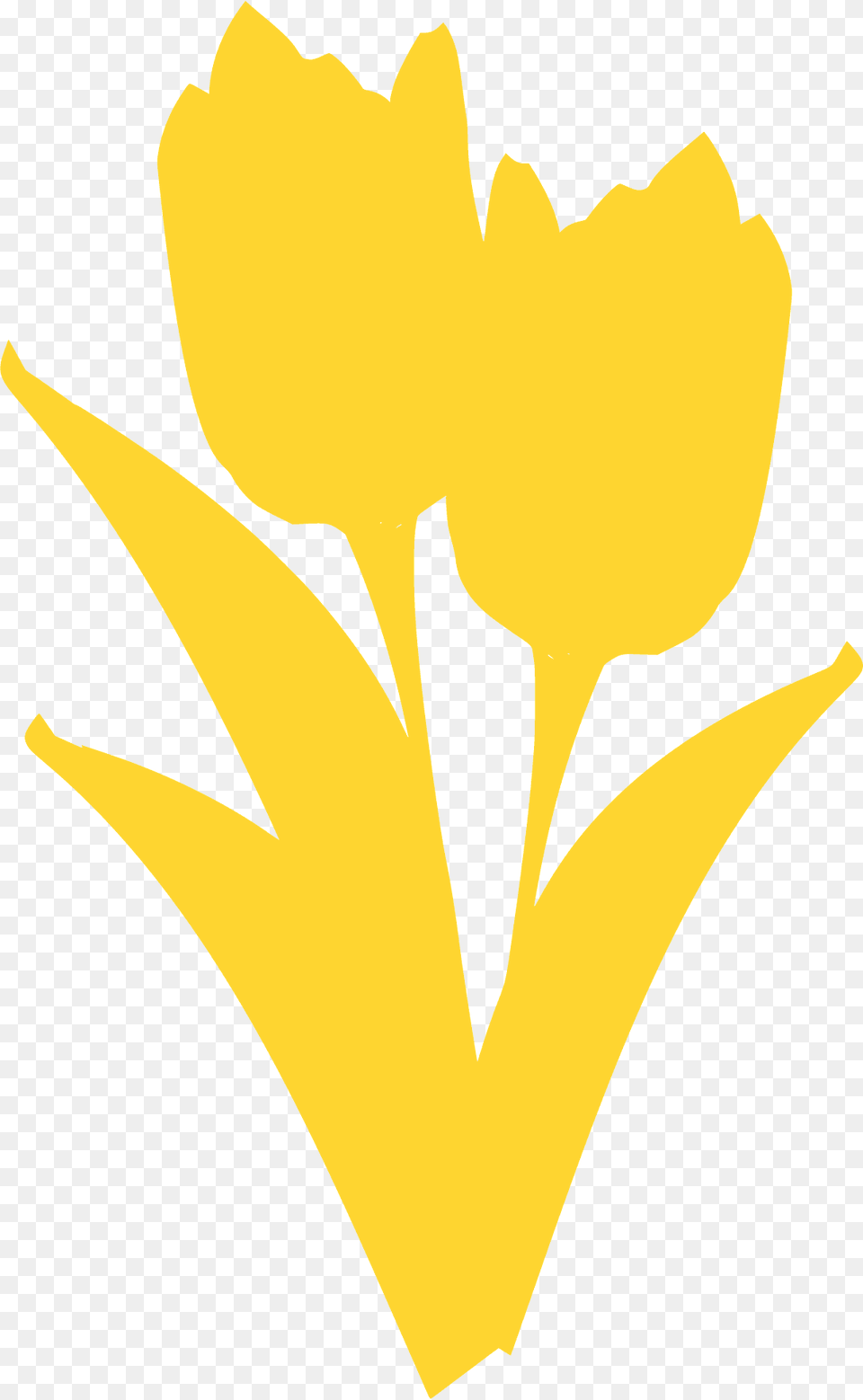 Tulips With Stems Silhouette, Petal, Flower, Plant, Daffodil Free Transparent Png