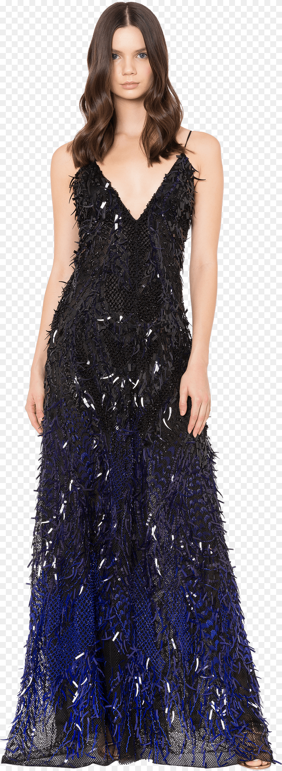 Tulle Dress With Sequins Gown Free Transparent Png