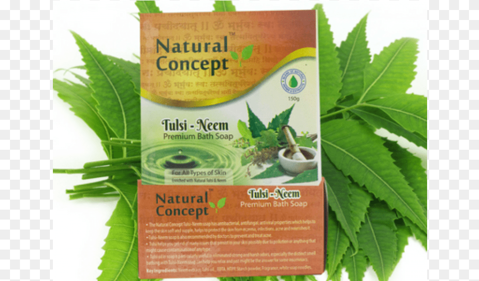 Tulsi And Neem Soap Botanical Name Of Neem, Herbal, Herbs, Plant, Leaf Free Png