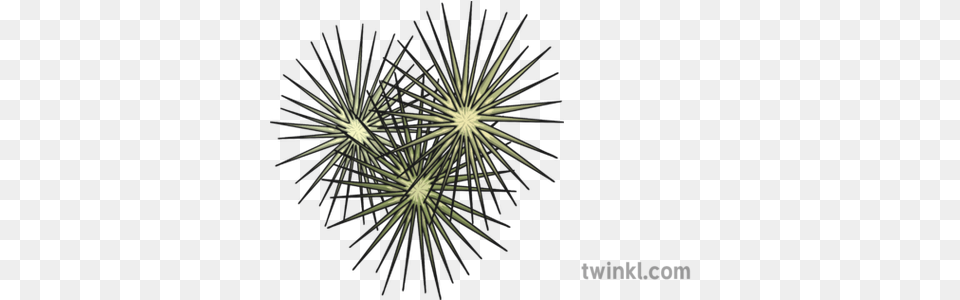 Tumbleweed Illustration Pattern, Fireworks, Machine, Wheel, Nature Free Png