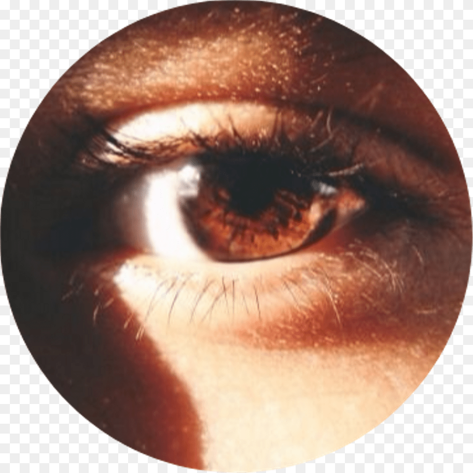 Tumblr Aesthetic Brown Eye Browneye Brown Eyes Aesthetic, Adult, Female, Person, Woman Free Transparent Png