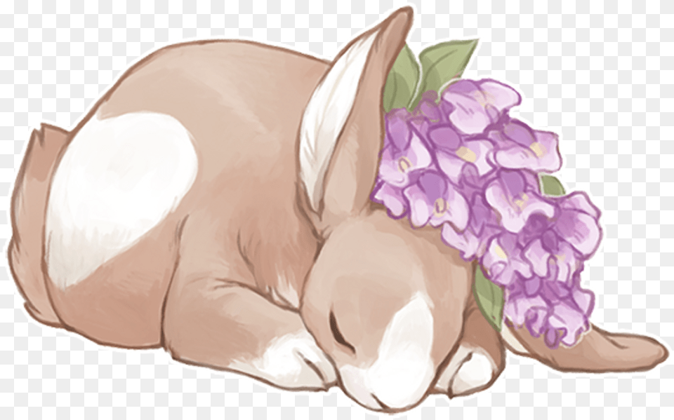 Tumblr Art Rabbit Rabbits Flower Flowers Bunny Hydrangea, Plant, Baby, Person, Animal Free Png